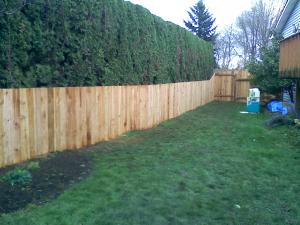 Cedar Fencing  