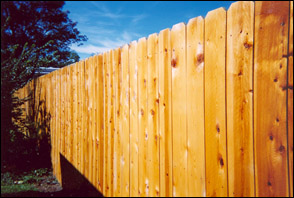 Cedar Fence  