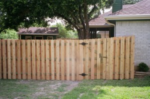 Cedar Fence  